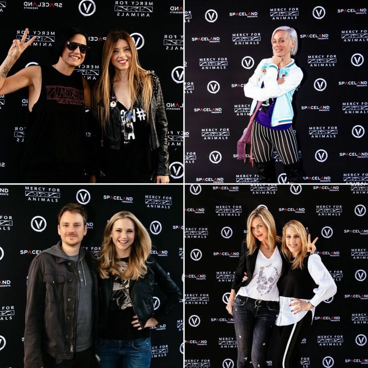 Fabric Step and Repeat Backdrop